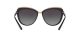 Dolce & Gabbana DG 4304 501/8G