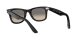 Ray-Ban Wayfarer RB 2140 901/32