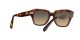 Ray-Ban State Street RB 2186 1324/BG