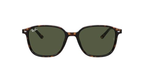 Ray-Ban Leonard RB 2193 902/31