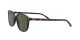 Ray-Ban Leonard RB 2193 902/31