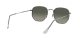 Ray-Ban Hexagonal RB 3548N 004/71