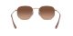 Ray-Ban Hexagonal RB 3548N 9069/A5