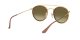 Ray-Ban RB 3647N 001/7O