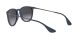 Ray-Ban Erika RB 4171 6002/8G