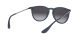 Ray-Ban Erika RB 4171 6002/8G