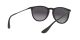 Ray-Ban Erika RB 4171 622/8G