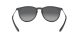 Ray-Ban Erika RB 4171 622/T3