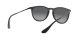 Ray-Ban Erika RB 4171 622/T3