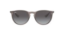 Ray-Ban Erika RB 4171 6513/8G