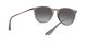 Ray-Ban Erika RB 4171 6513/8G