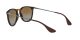 Ray-Ban Erika RB 4171 710/T5