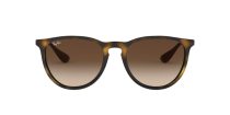 Ray-Ban Erika RB 4171 865/13