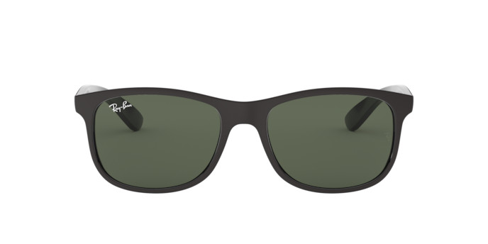 Ray-Ban RB 4202 6069/71 55/