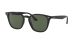 Ray-Ban RB 4258 601/71