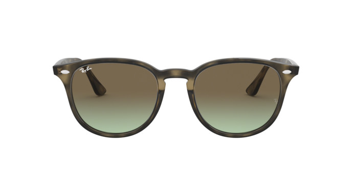 Ray-Ban RB 4259 731/E8 51/