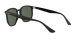 Ray-Ban RB 4306 601/71