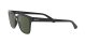 Ray-Ban RB 4323 601/31