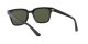 Ray-Ban RB 4323 601/31