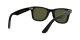 Ray-Ban Wayfarer RB 4340 601/58