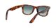 Ray-Ban Wayfarer RB 4340 6397/3M