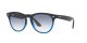 Ray-Ban Iris RB 4471 6632/19