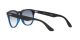 Ray-Ban Iris RB 4471 6632/19