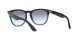 Ray-Ban Iris RB 4471 6632/19