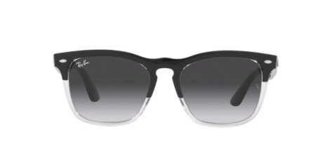 Ray-Ban Steve RB 4487 6630/8G