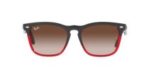 Ray-Ban Steve RB 4487 6631/13