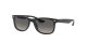 Ray-Ban Junior New Wayfarer RJ 9052S 100/11