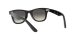 Ray-Ban Junior Wayfarer RJ 9066S 100/11