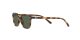 Ray-Ban Leonard Jr RJ 9093S 152/71