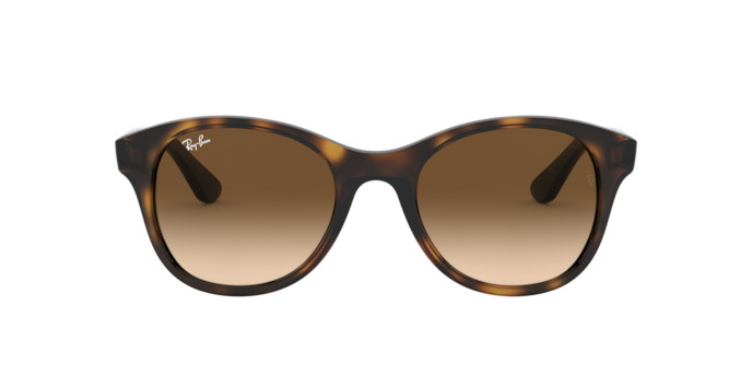 Ray-Ban RB 4203 710/13